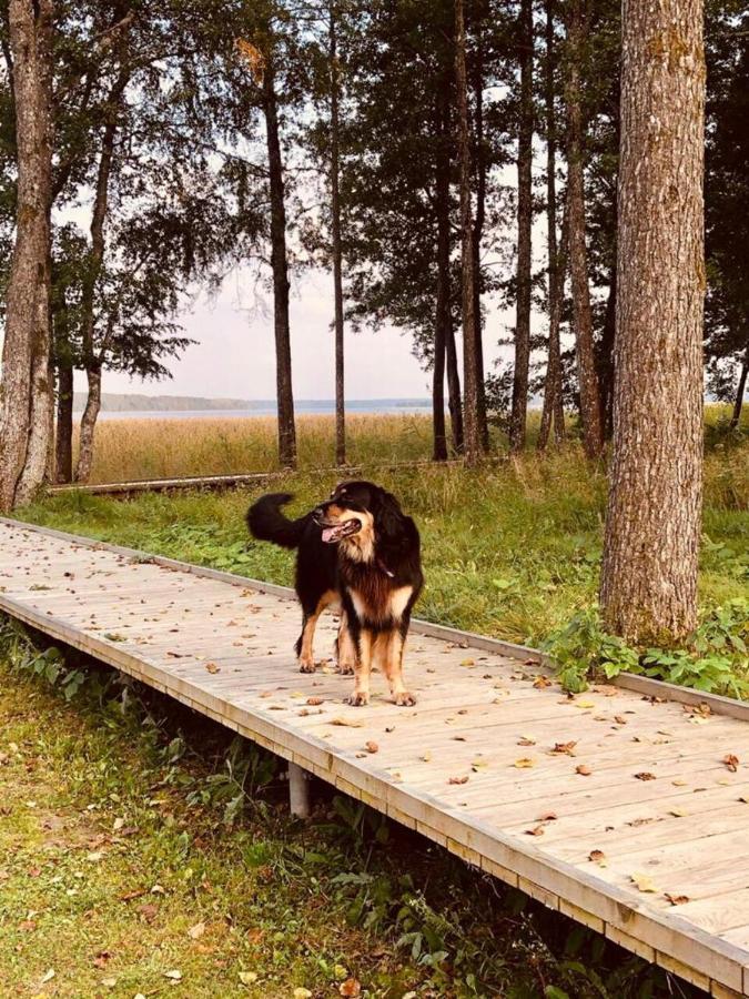 Bebru Maja - Beaver House Усма Екстериор снимка