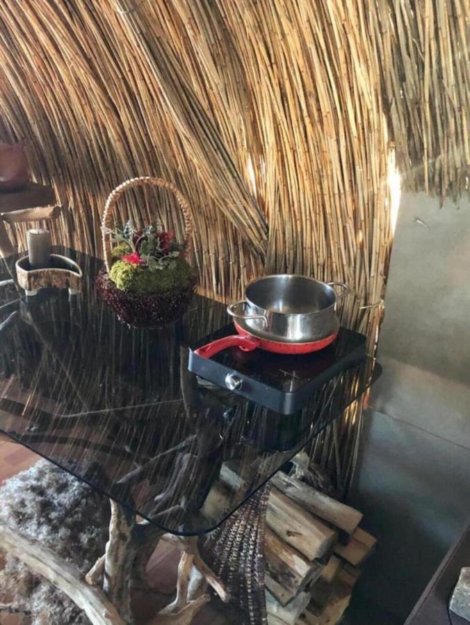 Bebru Maja - Beaver House Усма Екстериор снимка